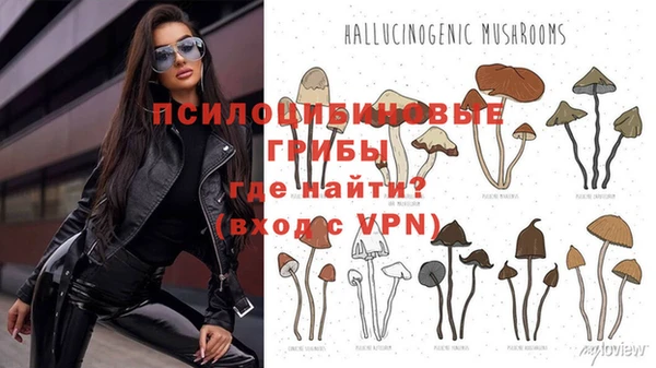 не бодяженный Бикин
